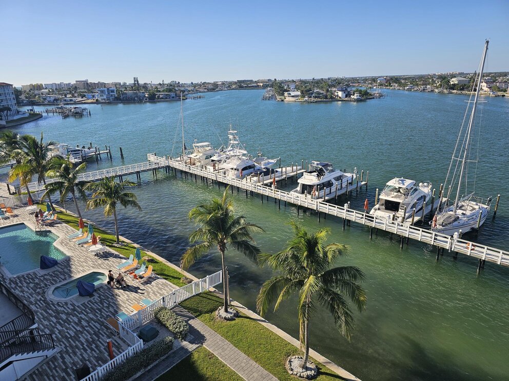 a dock with boats and palm trees