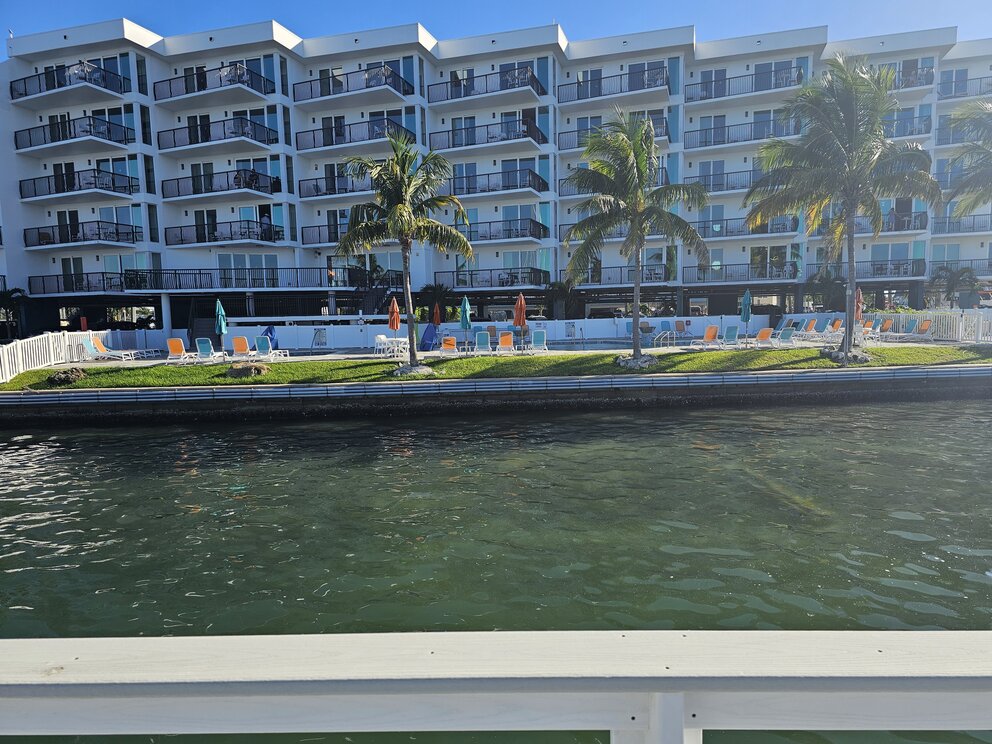 a body of water with a building and palm trees