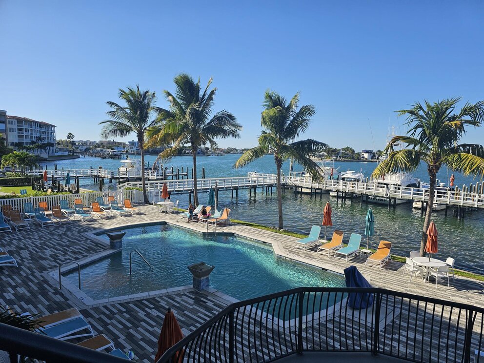 a pool and palm trees by a dock
